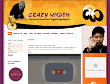 Tablet Screenshot of crazywisdomthemovie.com